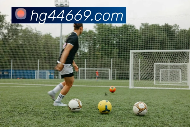 皇冠体育网站入口APP 封面图