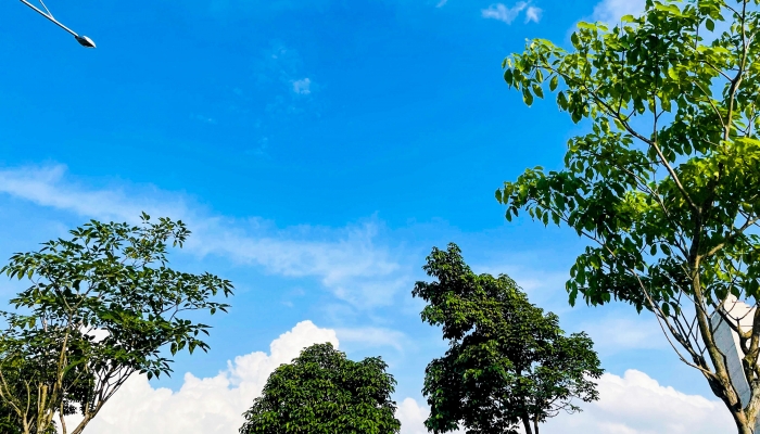 天间多云天气为主 12日湘西北有小到中雨爱游戏(ayx)中国网站今明两天湖南以晴(图2)